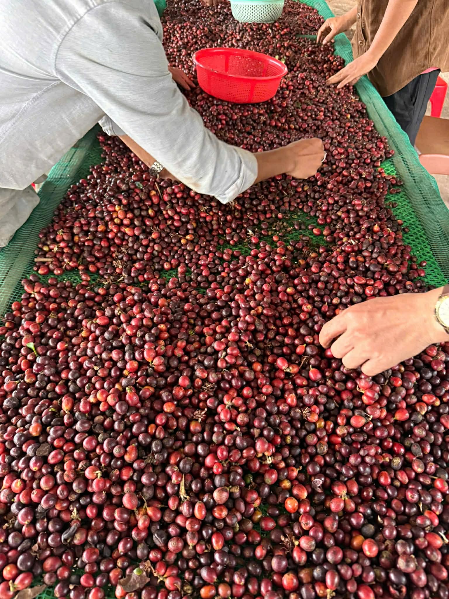 Bịch cà phê Ba Hải